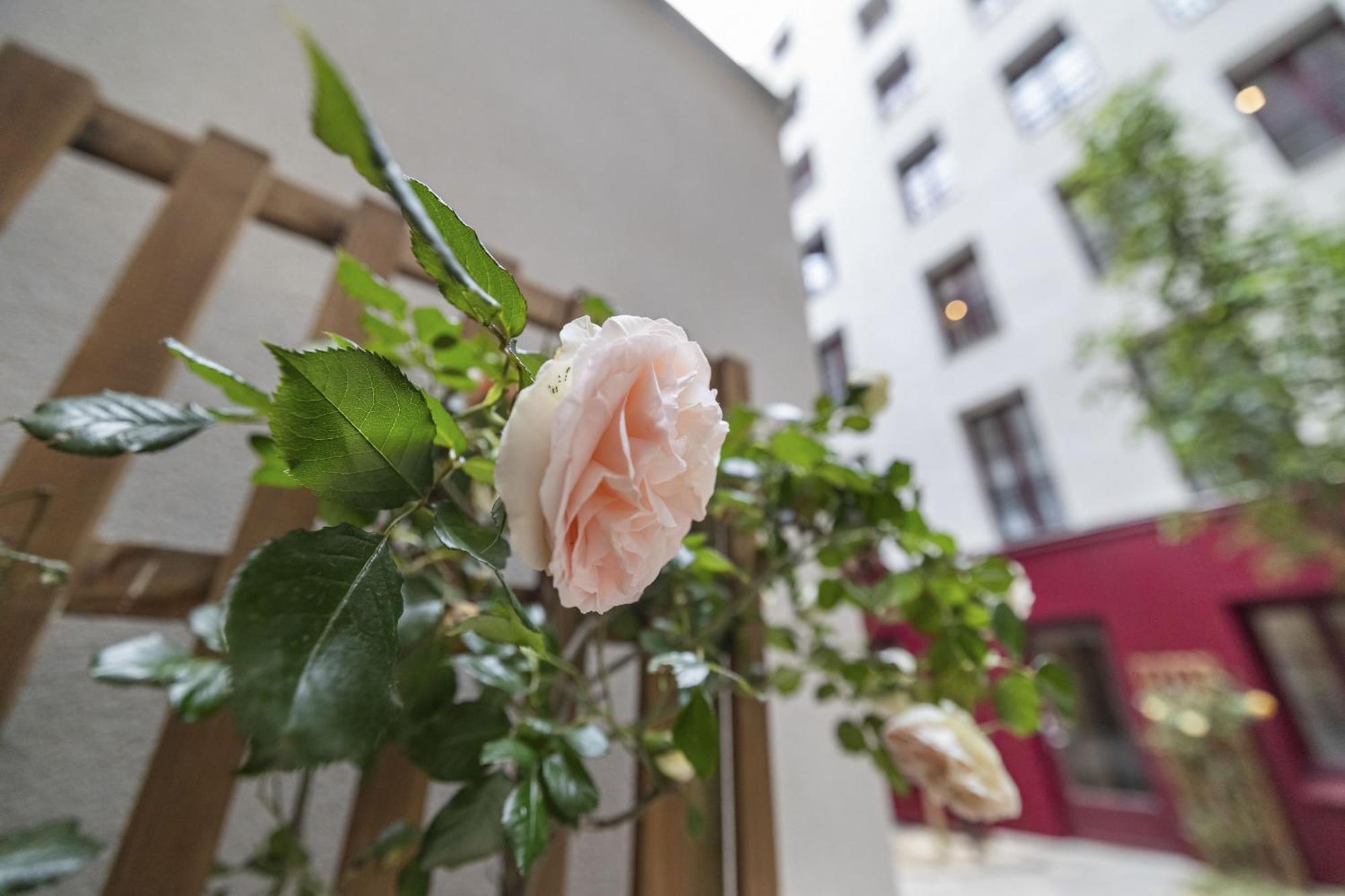 Out Of Africa Apartment Paris Bagian luar foto
